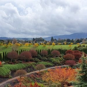 Meet your Posher, Shriya